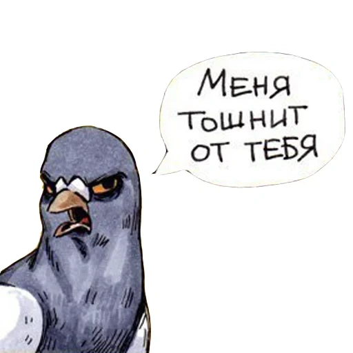 pigeon, gennady pigeon