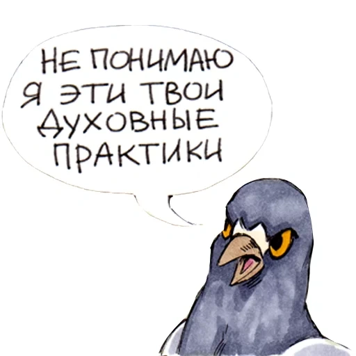 pigeon, pigeon de gennady, ne forcez pas les pigeons gennadi