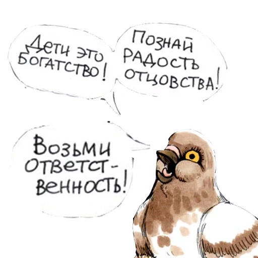 dove gennady, comic pigeon gennady, koro pigeon gennady volume 1, pigeon gennady comic sparrows