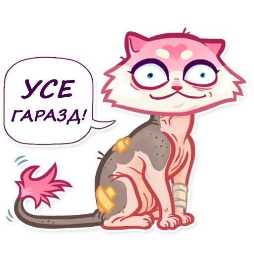 gato, gatito, gatito, vltsap, gato rosa