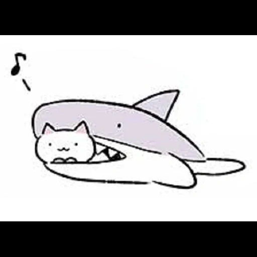 кот, акула, акула рисунок, животные милые, акула милая рисунок