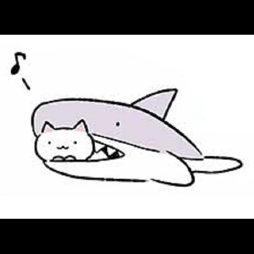 cats, requins, requin, les animaux sont mignons, motif mignon de requin