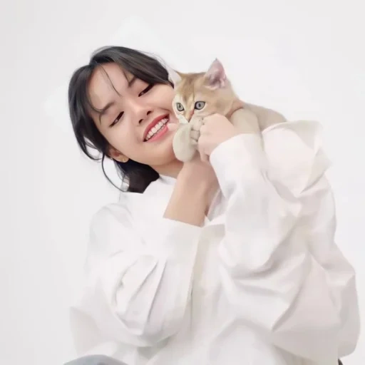 suara, азиат, кошачьи, корейские актрисы, blackpink lisa cats