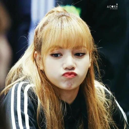 rosa nero, lisa blackpink, lisa rosa nero, lalisa blackpink, lalisa manoban jenny kim