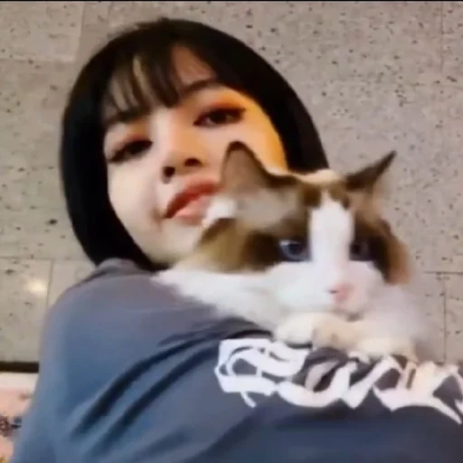 asia, manusia, lalis cat, gadis-gadis cantik, kucing blackpink fox