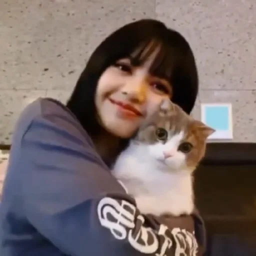 katze, junge frau, elena cat, asiatische mädchen, katze von blackpink fuchs