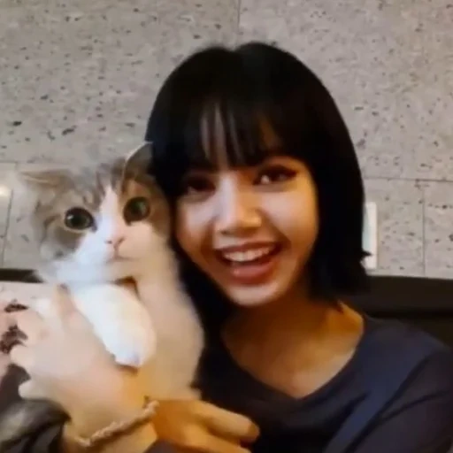 asiático, humano, jovem, lalis cat, gato da raposa negra de blackpink