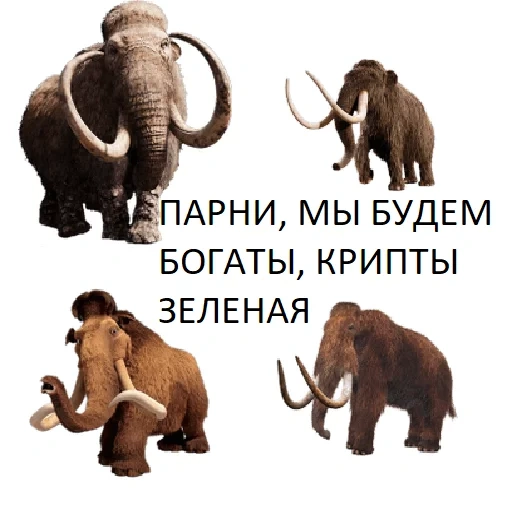 un mammut, mammut manny, mammut dai capelli lunghi, meme di mammut a pelo lungo, età glaciale mammut