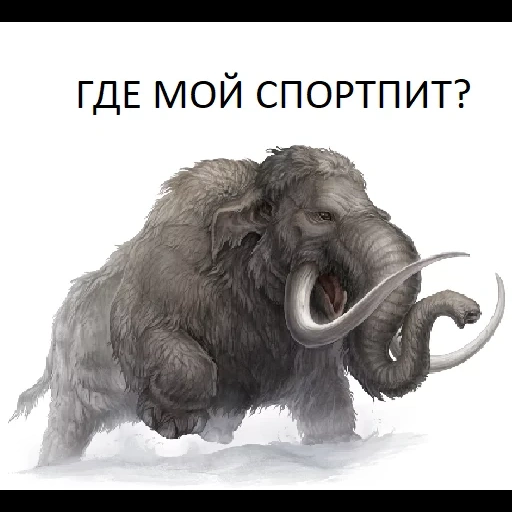 mammoth, mammoth, mammoth pattern, painting a mammoth, glacial mammoth