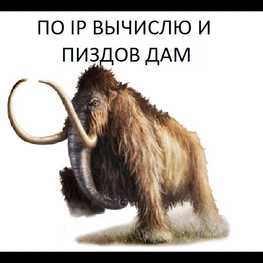 mammoth, patrón de mamut, el mamut está extinto, mammoth, mammoth glacial