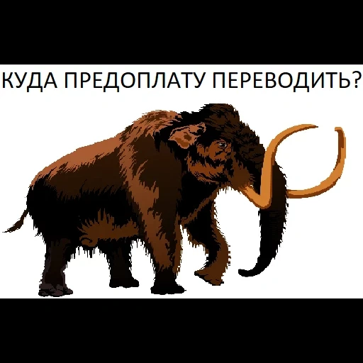 задача, мамонт, mammoth, мамонт слон, шерстистый мамонт