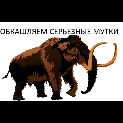 mammoth, menggambar mammoth, steppe mammoth, mammoth wol, siberian wool mammoth