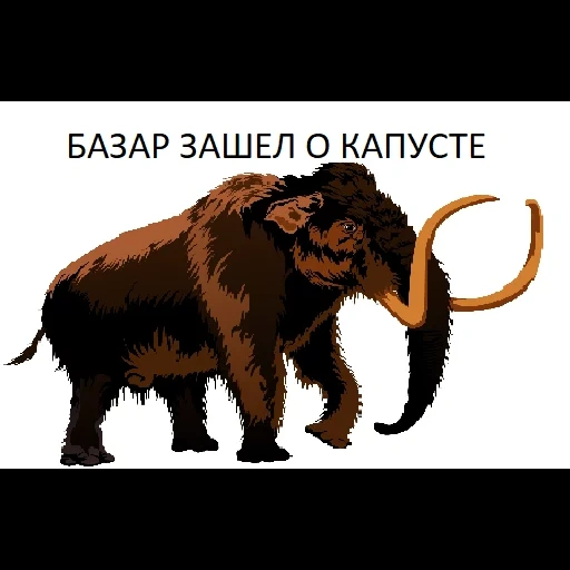 mammoth, animales mamut, mammoth, mammoth siberiano, mammoth africano de pelo largo