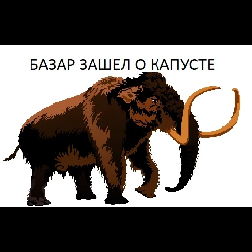 mammoth, hewan mammoth, mammoth wol, siberian wool mammoth, mammoth wol afrika