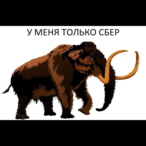 mammoth, mammoth, steppe mammoth, hewan mammoth, siberian wool mammoth