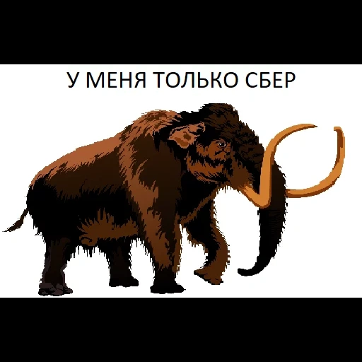 un mammut, mammoth, mammut della prateria, animali mammut, mammut siberiano