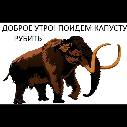 мамонт, mammoth, шерстистый мамонт, шерстистый мамонт сбоку, сибирский шерстистый мамонт
