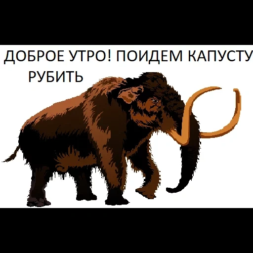 un mammut, mammoth, mammut mao, mammut lateralmente, mammut siberiano