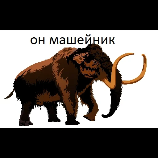mamute, animal gigantesco, mamute de lã, mamute da lã da sibéria, animais extintos mamutes de lã