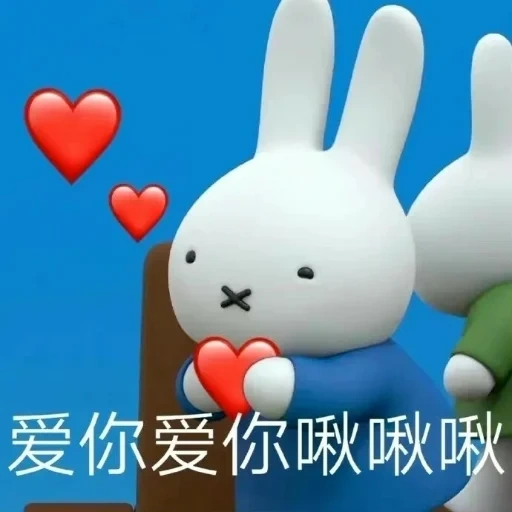 miffy, toys, miffy cartoon, miffy and friends, rabbit mifei cartoon