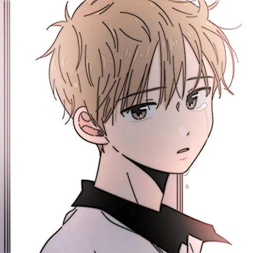 anime comics, manhwa bois, manhua munga, i personaggi degli anime, four seasons flowers manhua