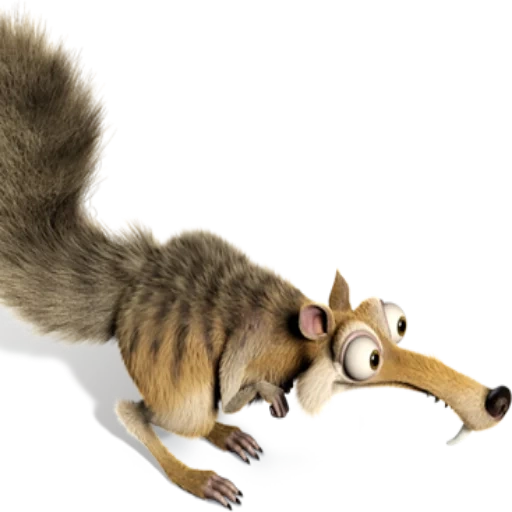 squirrel screet, the ice period of the protein, squirrel with a nut of glacial period, ice protein of the glacial period, belka of the glacial period with a white background