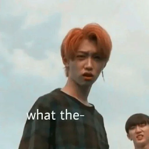 asiático, meninos de bangtan, memes de crianças perdidas, um garoto bonito, felix stray kids