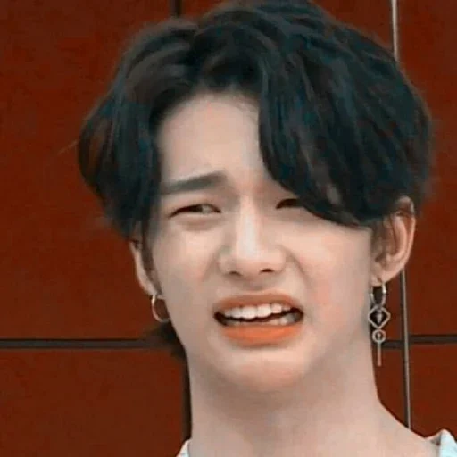 memes de crianças perdidas, mete de crianças perdidas, memes hwan hyunzhin, hwan hyunzhin teimoso, memes felix stray kids