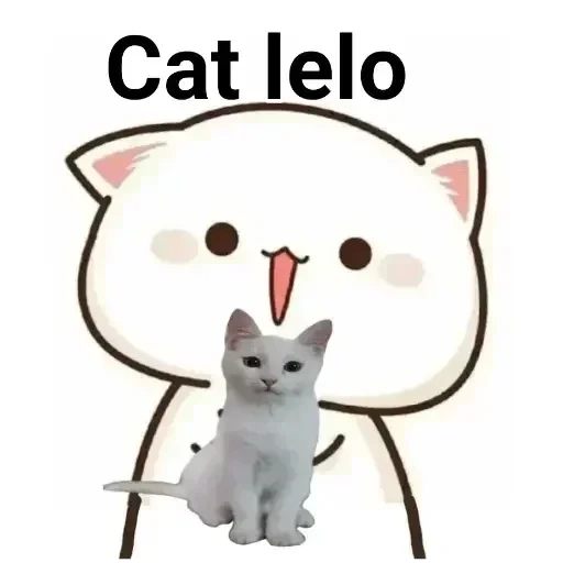 cat, gato fofo, cat mochi, gato anime, selo kawai
