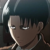 Levi Ackerman ;