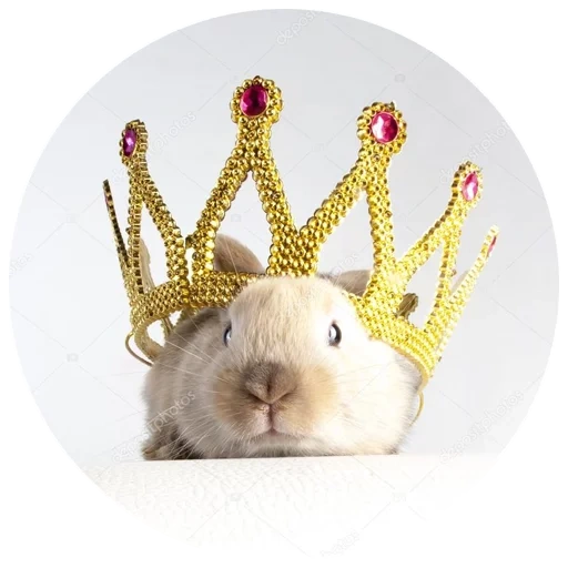 conejo, corona, corona de conejo, pequeños conejos, una pequeña corona de conejo