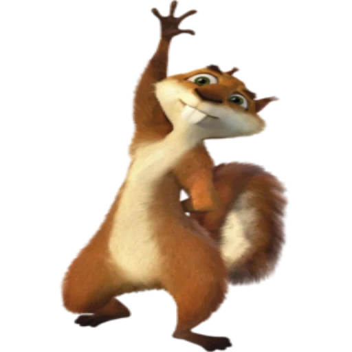 lo scoiattolo, lo scoiattolo danzante, gruppo di scoiattoli della foresta, gruppo forestale di hami, gruppo forestale di scoiattoli hami