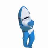 акула, акула акула, акула танцует, акула флексит, танцующая акула
