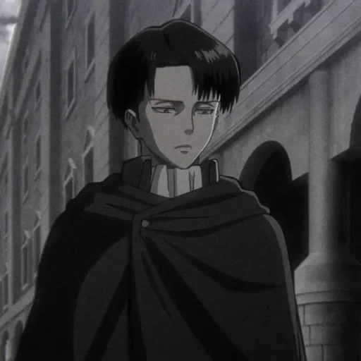 levy acerman, levi ackerman, levy ackerman, der angriff der titane levy, captain levy ackerman film