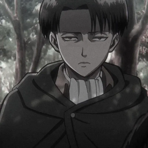 levi, ataque titã, levy ackerman, titan ataca titã, gif anime titã ataca levy