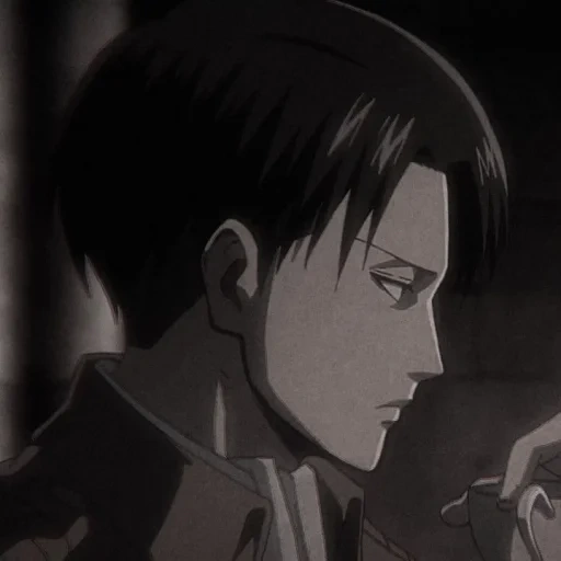 levi ackerman, levy ackerman, angriff der titanen, der angriff der titane levy, angriff von titanencharakteren