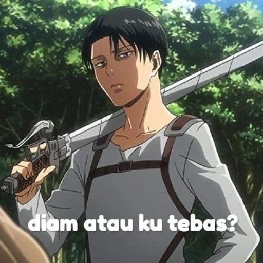 levi aot, acerman, ataque de los titanes, levi ackerman, el ataque de los titanes