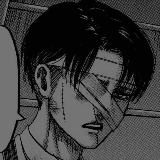 la figura, levi ackerman, levi ackerman, l'attacco dei titani, levi ackerman