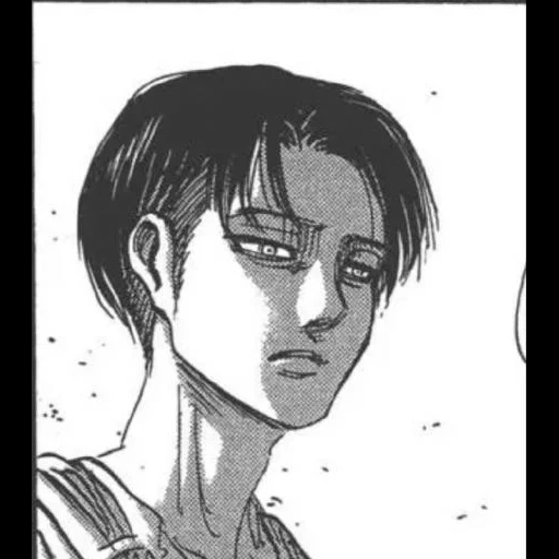 levi ackerman, levi ackerman, attacco dei titani dei fumetti, levi ackerman munga, i fumetti di titan attaccano levy