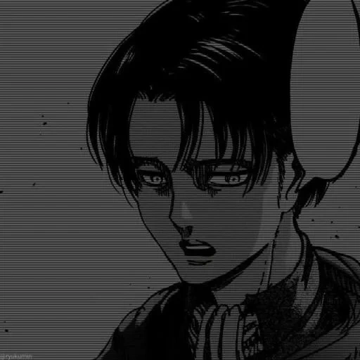 levi ackerman, foto di diana, attacco dei titani dei fumetti, levi ackerman munga, i fumetti di titan attaccano levy