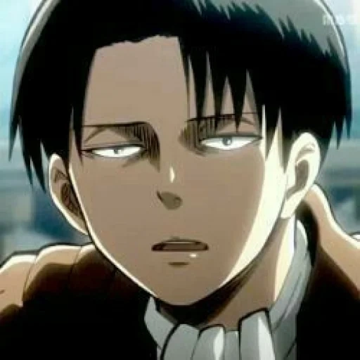 levi ackerman, levi ackerman, levi ackerman marah, titan levy ackerman, titan menyerang titan