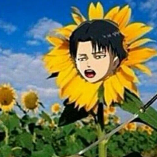 anime, bunga matahari, kreativitas anime, karakter anime, negara bunga matahari