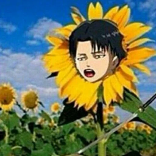 anime, girasole, idee anime, personaggi anime, girasoli