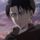 •◦❈ levi