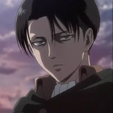 Levi Ackerman @shingeki_no_kyojin_aot