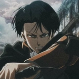 @animecuteth Levi