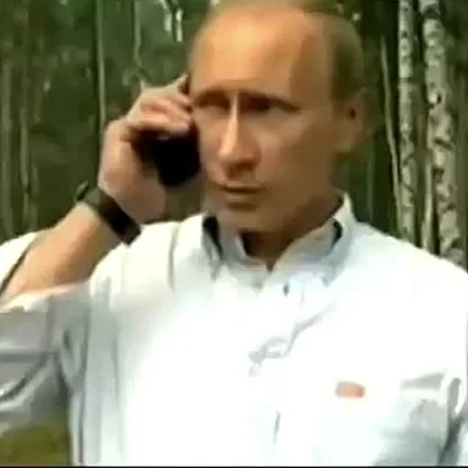 alina, dinero, turbina, mikhal palych, vladimir vladimirovich putin