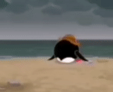 cat, needle meme, on the beach, sadness, ping sad video