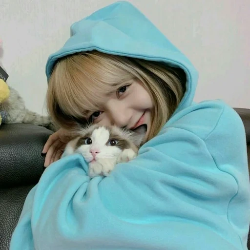 gato, fofo, jennie lisa, lalaalisa m, blackpink lisa leo