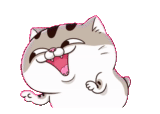 кот, толстый кот, ami fat cat, смайлик белый кот